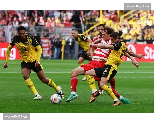 多特蒙德百年黄黑荣耀征程与德甲欧战未来蓝图青春风暴再起航新篇章